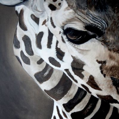 giraffe eye